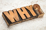 why question in wood type