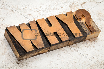 why question in wood type