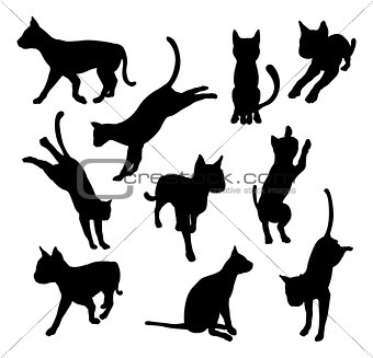 Pet cat silhouettes