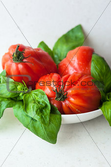 Fresh tomatoes and basil on the stone table