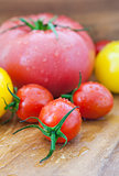 Assorted colorful  wet tomatoes 