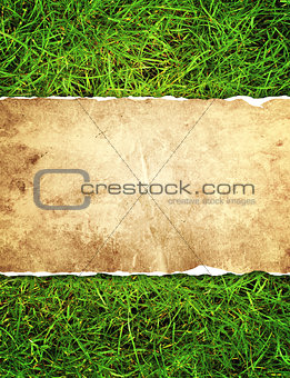 Green grass and paper