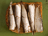 sardine sandwich