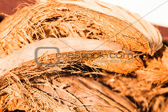 Coconut fiber 