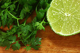 Salsa Ingredients of Lime and Cilantro