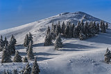 winter landscape in the Carpathian Mountains 