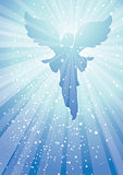 rays angel