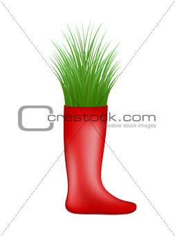Grass growing from red rubber boot