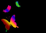 black background with a butterfly