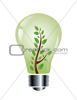 ecology friendly light bulb