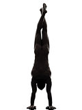 handsome naked muscular man exercising handstand  silhouette