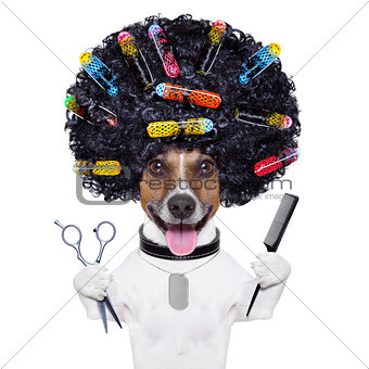 hairdresser   dog with curlers