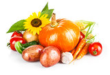autumnal harvest fresh vegetables