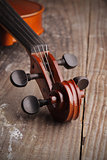 Violin close up