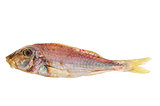 Salted and dried Red mullet fish
