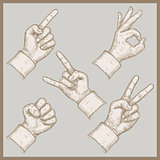image of five hands