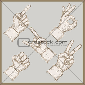 image of five hands