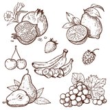 Icons of sweet fruits and berries