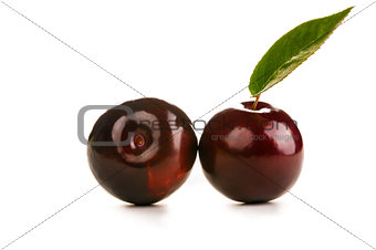 beautiful plum