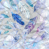 graphic texture of feathers