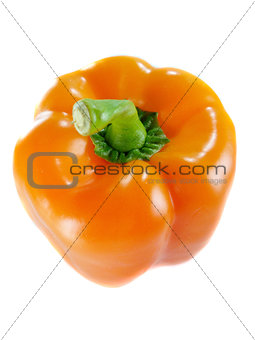 Orange bell pepper 