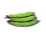 bunch of broad beans 