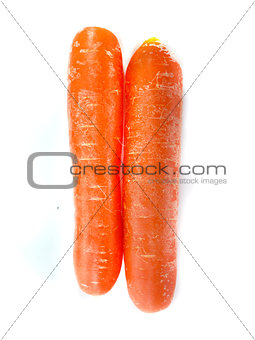 fresh orange carrot