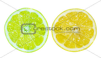 Fresh slice of Lemon