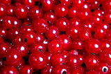 Many red currants as a texture