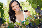 Young Adult Woman Enjoying A Glass of Wine in Vineyard
