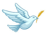 flying dove bird with wheat ear vector