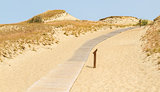Road to Dune Nagliu, Curonian Spit, Lithuania