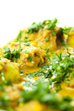 Curry- gravy food