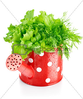 green herbs in red watering can