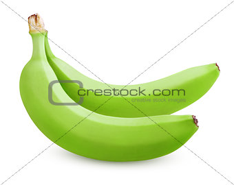 Two green bananas isolated on white