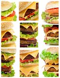 Collection of Burgers
