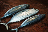 Raw fish on a wooden counter of the open market - mackerel