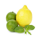 Lemon and lime with mint leaves