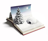 igloo on the open book