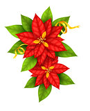 Christmas Star flowers poinsettia with gold ribbon
