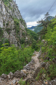 Tasnei Gorge