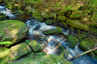 River in the forest - HDR