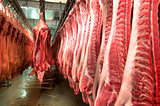 Fresh meat in a cold cut factory