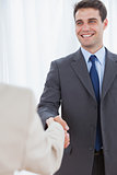 Cheerful businessman shaking hands with his new workmate