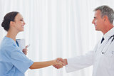 Surgeon and doctor shaking hands