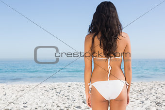 Back of sexy brunette posing in white bikini