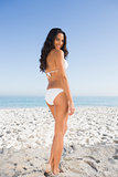 Smiling attractive dark haired woman posing in white bikini