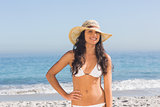 Cheerful attractive dark haired woman wearing straw hat posing