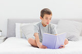 Concentrated little boy sitting on bed reading book