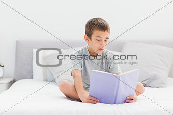 Concentrated little boy sitting on bed reading book